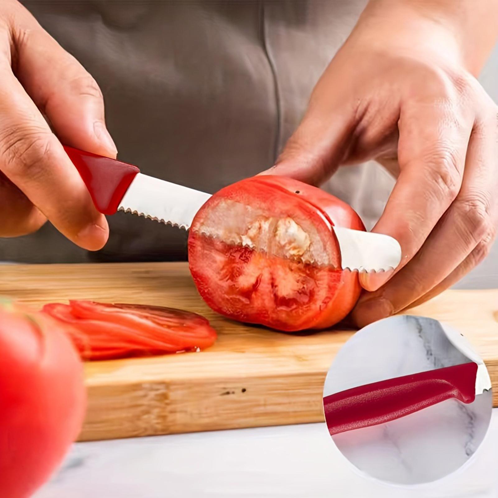 قاطع ستيك مسنن 5 قطع من الفولا - مراجعة Meal Prep For Cutting وسعره
